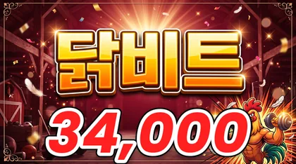 닭비트